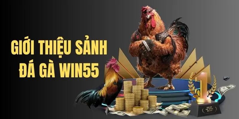 Thông tin sơ lược về chuyên mục đá gà WIN55